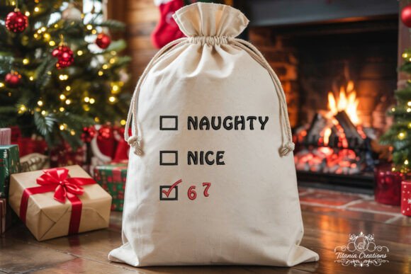 Naughty Nice Six Seven Embroidery